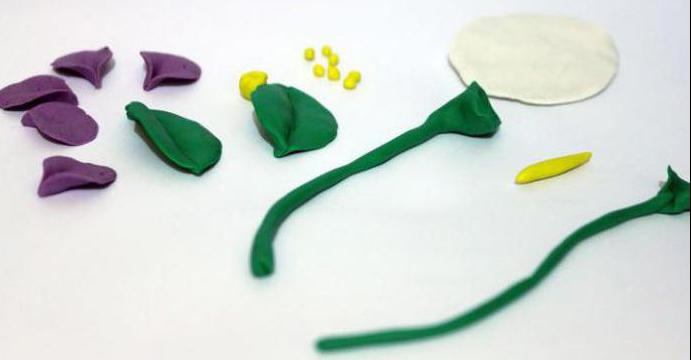 Plasticineden plasticine - çocuklar için heyecan verici bir ders Plasticineden plasticine - çocuklar için heyecan verici bir ders